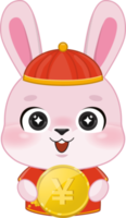 Pink Rabbit Boy Holding Gold Coin Money in Chinese New Year Festival Flat icon png