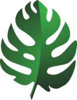 Green Summer Leave Flat Icon Design png