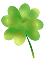 contento st. Patrick giorno con trifoglio foglia acquerello stile png