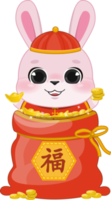 rose lapin garçon en portant Chine or bar à l'intérieur plein argent sac plat icône png
