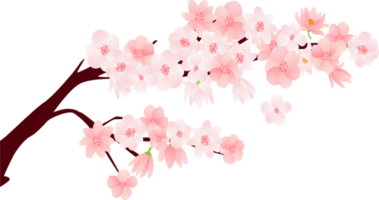 knippa av blommor med körsbär blomma tecknad serie karaktär png