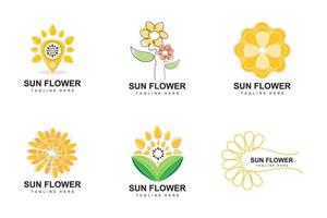 diseño de logotipo de girasol, vector de icono de planta de jardín de plantas ornamentales, marca de producto de la empresa