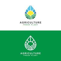 agriculture farm with sun and fresh water drop logo concept vector template