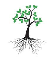 Green spring Tree wth Roots. Vector Illustration.