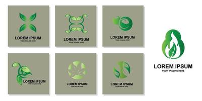 premium quality green leaf plant logo vector symbol