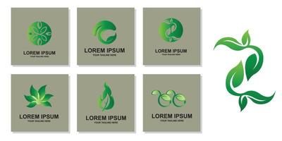 premium quality green leaf plant logo vector symbol