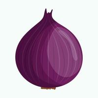 Purple shallots onion 6476681 Vector Art at Vecteezy