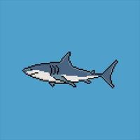 Shark with pixel art design. Vector illustration.