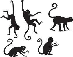 Monkey silhouette simple illustration. 5 pcs vector