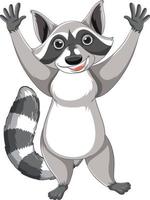 Cute cartoon raccoon standing on white background vector