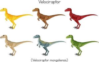 velociraptor en diferente colores vector