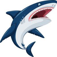 Aggressive great white shark cartoon vector