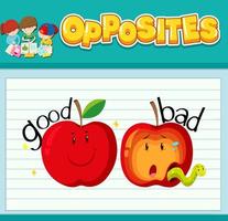 Opposite words with pictures for kids vector