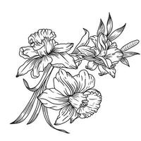 Line Detail Flowers vector