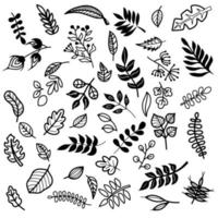 Hand drawn floral , leaves elements made in vector. For wedding design, logo  greeting card. vector