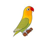 Lovebird vector graphic illustration. Yellow love bird on a white background. Perfect for bird club logos.