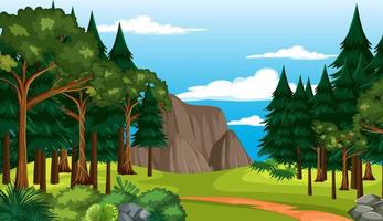 Empty forest environment background vector