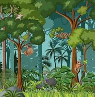 Forest scene with various wild animals vector