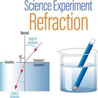 Refraction science experiment for kids vector