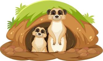 Two meerkats with burrow in cartoon style vector