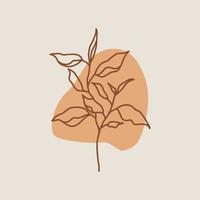 hand drawn line flower vector