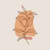 hand drawn line flower vector