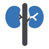 kidney vector illustration on a background.Premium quality symbols.vector icons for concept and graphic design.