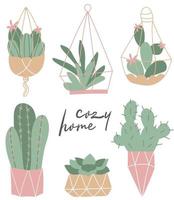 Vector set of  cozy cute cactus and succulent isolated on a white background. Home gardening. House plants. Botany decoration.