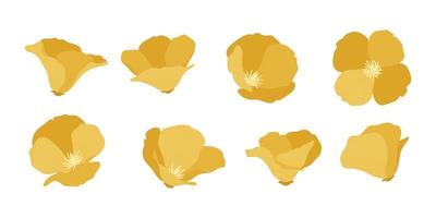 Set of california poppy blooming flowers illustration. vector