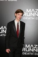 LOS ANGELES - JAN 18 - Thomas Brodie-Sangster at the Maze Runner - The Death Cure Fan Screening at AMC 15 on January 18, 2018 in Century City, CA photo