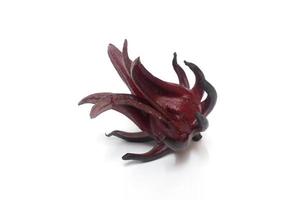 a few dark red roselle hibiscus on white background photo