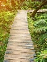 wood walkway in the park or garden photo