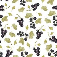 Seamless watercolor pattern hand drawn black currant branchesfor decoration, package ideas, phone cases and others vector