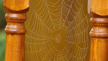 Spider's web attached between two wooden balusters trembling in a gentle wind. video