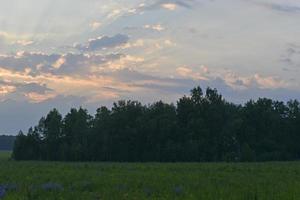 paisaje nocturno de bosque verde y nubes multicolores. hermosa puesta de sol con nubes azul-rosa. foto