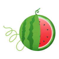 Watermelon fruit, Watermelon slices png