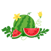 Watermelon fruit, Watermelon slices png