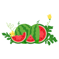 watermeloen fruit, watermeloen plakjes png