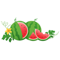 watermeloen fruit, watermeloen plakjes png