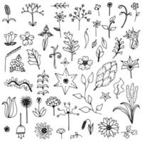 Set of elements flower doodle hand drawn sketch in black line on white isolated vector