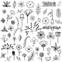 Set of elements flower doodle hand drawn sketch in black line on white isolated vector