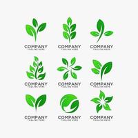 Leaf logo collection vector