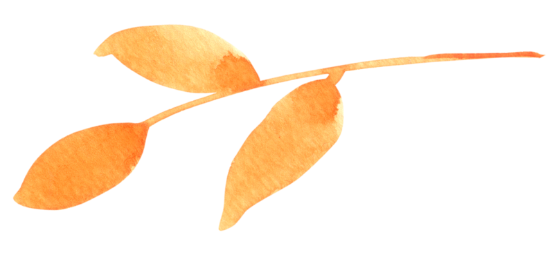 Brown Flowers PNGs for Free Download