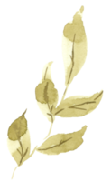 acuarela de elemento de hoja verde png