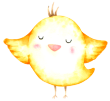 cartone animato dell'acquerello di pollo carino png