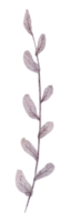 aquarelle élément feuille png