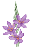 élément de fleur fleur de mariage aquarelle png