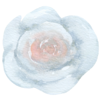 flor de casamento em aquarela de elemento de flor png
