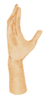 geste des mains aquarelle png