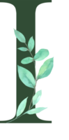 foglia verde acquerello con alfabeto png